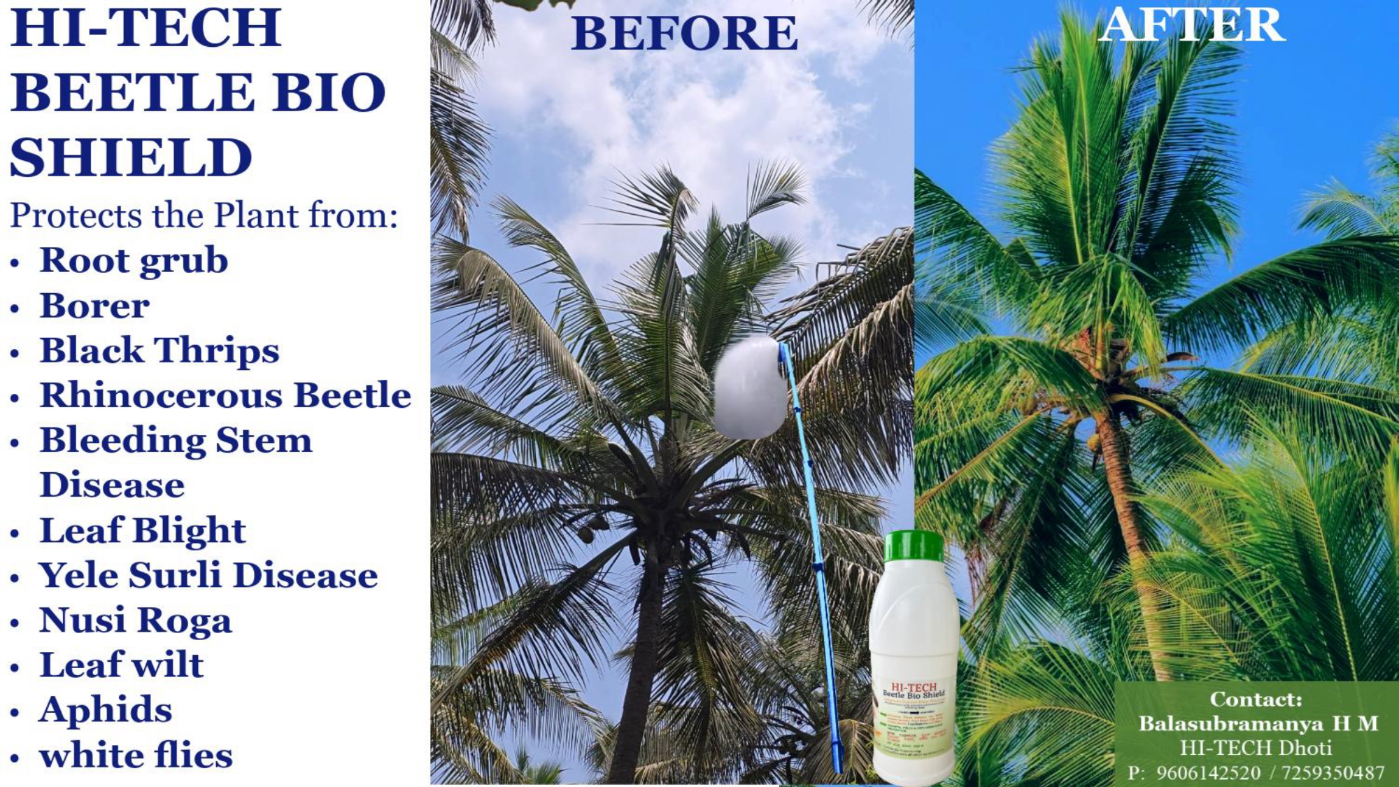 HI-TECH Beetle Bio Shield — coconut palm tree before and after treatment showing damaged fronds on left and healthy lush green crown on right with product bottle